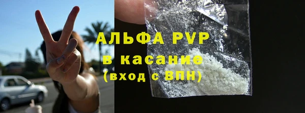 шишки Богородицк