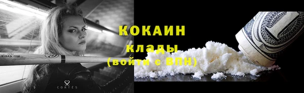 шишки Богородицк
