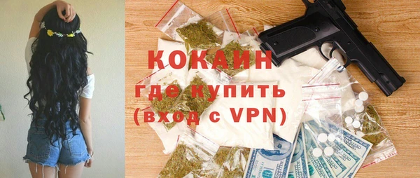 шишки Богородицк