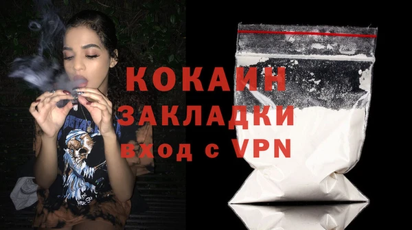 шишки Богородицк